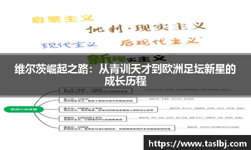 维尔茨崛起之路：从青训天才到欧洲足坛新星的成长历程